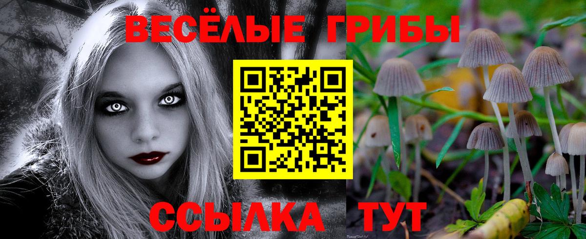 Псилоцибиновые грибы MAGIC MUSHROOMS Серпухов